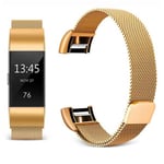 Fitbit Charge 2      Milanese Loop Strap   Gold