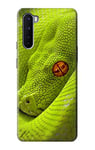 Green Snake Case Cover For OnePlus Nord