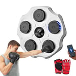 Machine de Boxe Musicale, Équipement D'entraînement de Boxe Mural en PU avec Gants de Boxe, Tapis de Boxe LED, Bluetooth, Lumières au Rythme de la Musique. (2 Mode, 43x43x5 cm)