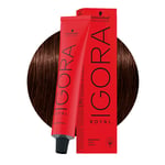 Schwarzkopf Igora Royal 4-68 Medium Chocolate Red Brown 60ml