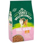 James Wellbeloved Adult Oral Health Turkey 4 kg Bag, Hypoallergenic Dry Cat Food