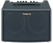 Roland AC-60 Acoustic Cube