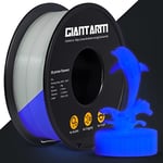 GIANTARM PLA Filament Glow in the Dark Violet, Imprimante 3D Filament PLA 1.75mm Fluorescent, Matériel d'impression 3D 1KG Bobine, PLA Violet Lumineux