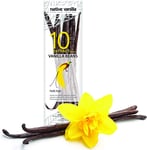 Native  Vanilla  Grade  B  Tahitian  Vanilla  Beans –  10  Total  Premium  Extra