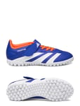 Adidas Performance Predator Club Hook-And-Loop J Football Boots Turf Blå