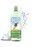 TropiClean Fresh Breath Dog Teeth Cleaning – Dog Dental Care for Bad Breath - Breath Freshener - Water Additive Mouthwash – Helps Remove Plaque Off Dogs Teeth, Original, 1L