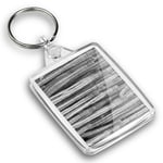 IP02 Passport Keyring BW - Cardon Cactus Plant Flower Desert  #37542