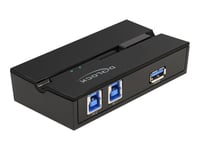 Delock - Usb-Växel - 2 X Usb 3.1 Gen 1 - Väggmonterbar, Bordsmonterbar