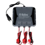 The Battery Pro Charger 12v/24v 3x10