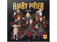 Harry Potter - Väggkalender 2024 (30 X 30 Cm)