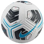 Nike Academy Football Ball