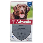 Advantix Grand chien de 25 kg - 40 Pipette(S) Unidose(S) 4 pc(s)