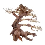 L Bonsaï Arbre Nr.11368 Racine Bois Aquarium Déco Aquascaping Nature Orientale