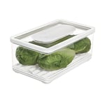 iDesign boîte frigo avec Couvercle, Grand Organisateur frigo pour Fruits et légumes, Boite hermétique en Plastique avec Valve d'air pour Plus de fraîcheur, Transparent/Blanc/Vert