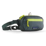 Patagonia Ultralight Black Hole Mini Hip Pack (Grön (NOUVEAU GREEN) ONE SIZE)