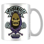 Pyramid International Masters of the Universe (Skeletor - Bad to the bone 11oz/315ml Mug