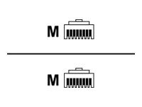 Exertis - Patch-kabel - RJ-45 (hane) till RJ-45 (hane) - 2 m - UTP - CAT 6 - gul