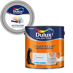 Ma Couleur Sur-Mesure par Dulux Valentine – Peinture Intérieure Murs, Plafonds, Boiseries - Palette Sens, Pièce à Vivre Mat, Gris Tendance, 2,5 L