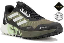 adidas Terrex Agravic Flow 2 Gore-Tex M Chaussures homme