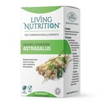 Living Nutrition Astragalus – immunförsvar och energi 60 kaps