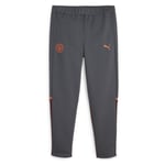 PUMA Manchester City Sweatpants Casuals - Grå/Orange Barn adult 772912 22