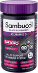 SAMBUCOL KIDS GUMMIES 30'S, 30 Count (Pack of 1)