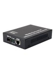 LevelOne GVT-0500 - fibre media converter - 10 GigE