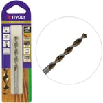 Tivoly - Foret Bois Ø3mm Gradué Acier hss Perçage très précis des bois durs - Affutage Speed-point gold Exclusif