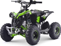 1Dea.Me Förbränningsmotor Quad Renegade Hiperfect 110Cc Grön