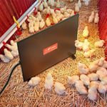 Chicken Coop Heater Safe Radiant Space Heat Energy Efficient Lamps Pet Heater