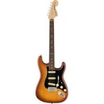 Stratocaster American Performer Spruce RW Honey Burst