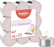 bolsius True Scents - Lot de 18 Bougies Chauffe-Plat Parfum - Magnolie - Durée de Combustion: 4 Heures - Décoration d'intérieur - Extraits naturels - avec Cire Naturelle végétalienne