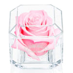 A 100% Real Rose That Lasts A Year - The Perfect Unique Gift for Women and Men, an Anniversary Gift, A Birthday Gift – White Gold Solo (Light Pink)