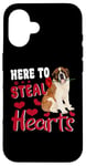 iPhone 16 Here To Steal Hearts Funny St Bernard Dog Valentines Day Case