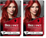 Schwarzkopf - Brillance - Coloration Cheveux Permanente Intense - Eclat Diamant - Cheveux Brillants - Couvre 100% des Cheveux Blancs - Soin Nourrissant Inclus - Rouge Cachemire 842 (Lot de 2)