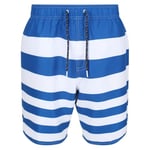 Regatta Mens Hamza Striped Swim Shorts - XL