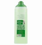 Agua Lavanda Puig Cologne