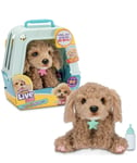 Little Live Pets My Really Real Puppy: Curley The Cavapoo CHRISTMAS 2024 TOY