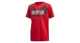T shirt junior adidas predator graphics