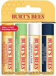 Burt's Bees Lip Balm Multipack, Lip Balm Set,Beeswax,Cucumber Mint,Coconut & of