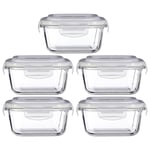 Freska 5pc 520ml Borosilicate Glass Lunch Box Food Container Airtight Lid Set