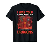 Dragon I Was Told There Would Be Dragons T-Shirt