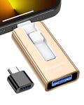 GNASEET Cle USB 256 Go, Clé USB 3.0 Transfert Grande Vitesse, 4 en 1 Clef USB Photo Stick Mémoire Externe pour iOS, Android, Pad, Type C et PC, Cle USB C Stockage Photos, Vidéos, Fichiers(Or)