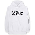 Band Monkey Tupac Unisex Pullover Hoodie I See No Changes