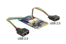 Delock MiniPCIe I/O PCIe full size 2 x USB 2.0 - USB-adapter - PCIe Mini Card - USB 2.0 x 2