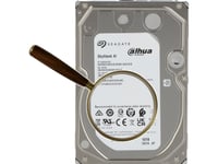 Seagate Drive Disk For Opptaker Hdd-St10000ve000 10Tb 24/7 Skyhawk Ai Seagate