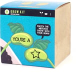 Grow Kit Magic Message Bean You're A Star Novelty Plant Grow Biodegradable Plant