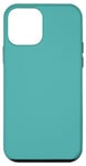 iPhone 12 mini Blue Turquoise Case