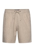 Hco. Guys Shorts Beige Hollister