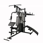 TechFit Gymnase Multifonction 5000 à la Maison 6 en 1 avec Station de Poitrine, tractions, curl, Dip pour Home Gym, Banc Multifonction avec équipement de Gym, Station de Gym Multifonction